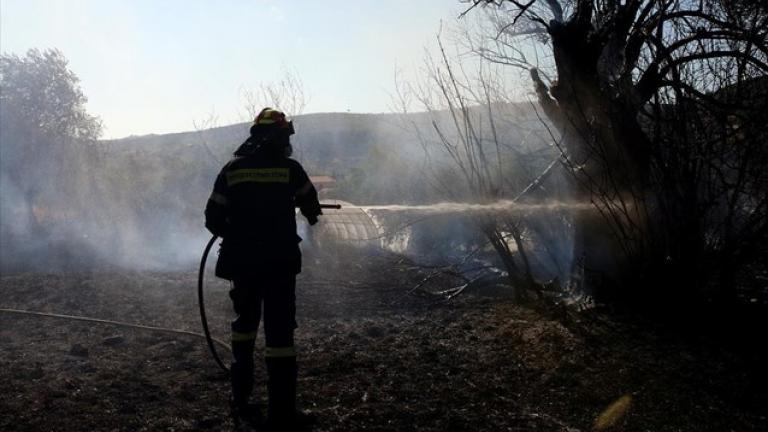 Φωτιά τώρα: Πυρκαγιά στα Κοίνυρα Θάσου