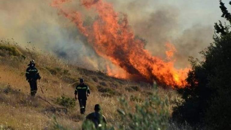  Τριάντα οκτώ δασικές πυρκαγιές εκδηλώθηκαν τις τελευταίες 24 ώρες
