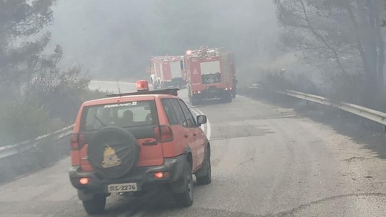 Φωτιά τώρα στη Θάσο: Σε μια από τις ομορφότερες περιοχές του κατάφυτου νησιού