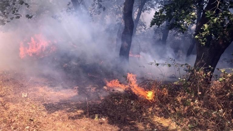 Φωτιά τώρα: Ανεξέλεγκτη η φωτιά στο Πρόδρομο Θηβών