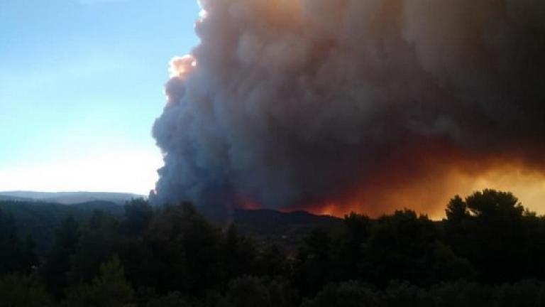 Φωτιά τώρα: Μαίνεται η πυρκαγιά στην Εύβοια - Κατακαίει πευκοδάσος Natura που είναι καταφύγιο άγριας ζωής
