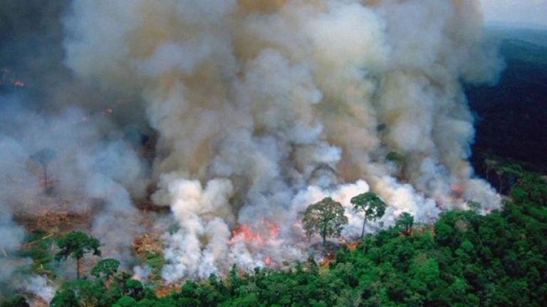 «Αμαζόνιος SOS»:Ο πνεύμονας του πλανήτη είναι στις φλόγες