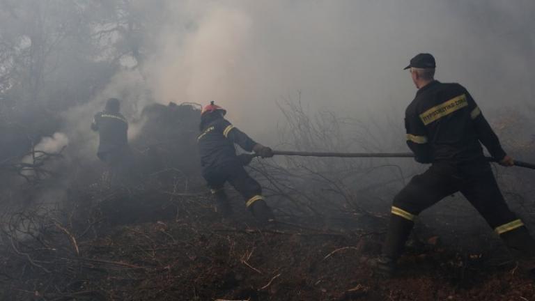 Μάχη με τις αναζωπυρώσεις δίνουν οι πυροσβέστες στην Εύβοια