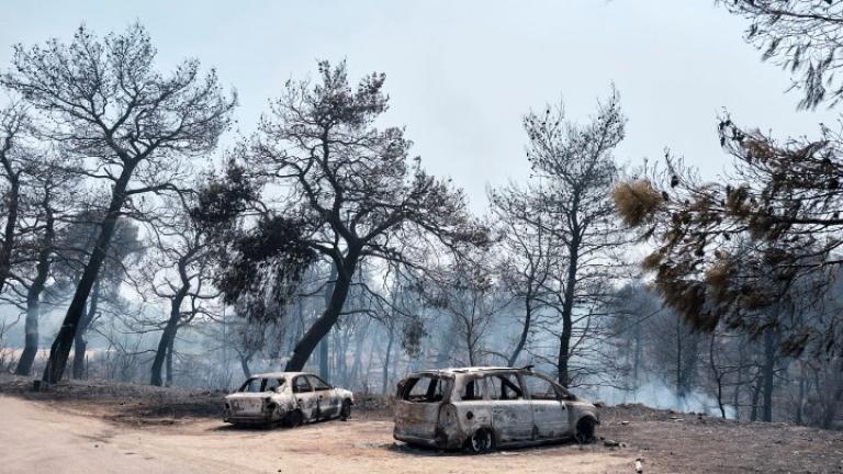  Φωτιά Εύβοια: Την πιθανότητα του εμπρησμού για τη φωτιά της Εύβοιας εξετάζει η Πυροσβεστική