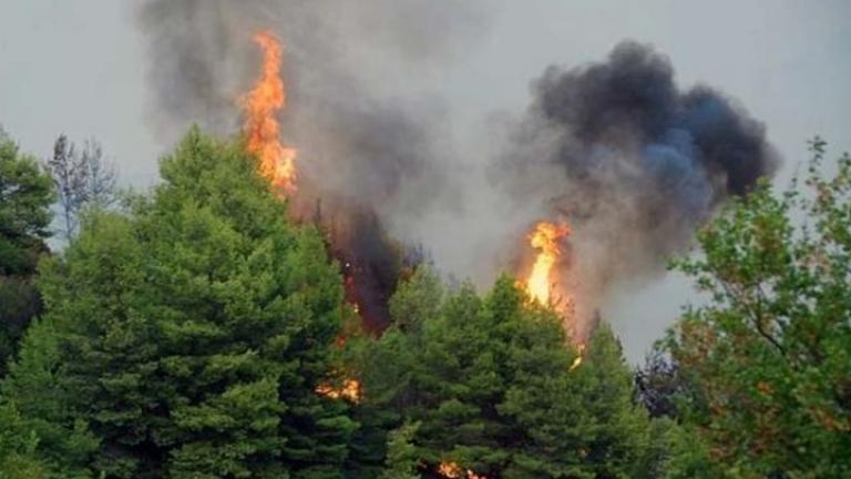 Φωτιά τώρα: Σε ύφεση η φωτιά στην Κλειτορία Καλαβρύτων