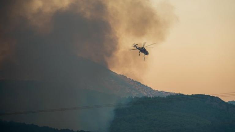 Φωτιά τώρα στο Μουρίκι, στα Καλάβρυτα