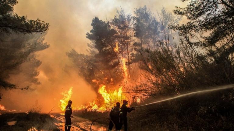 Φωτιά Σάμος: Δεν απειλούνται σπίτια ή ξενοδοχεία (ΒΙΝΤΕΟ)