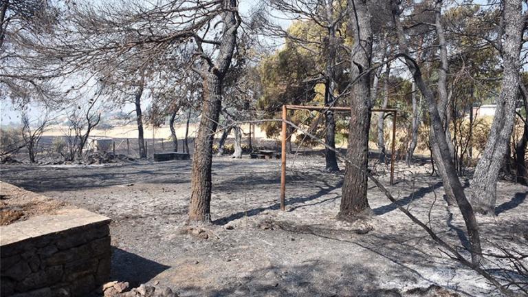 Φωτιά τώρα: Στάχτη και αποκαΐδια 25.000 στρέμματα δάσους - Ανυπολόγιστη οικολογική καταστροφή