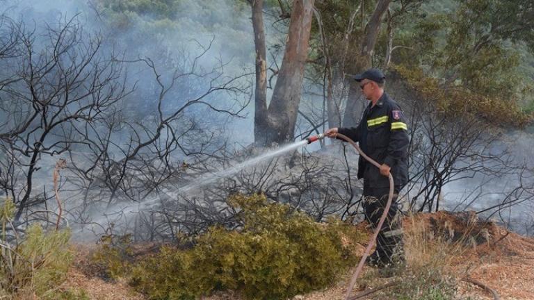 Φωτιά στην Ελάτη Κοζάνης