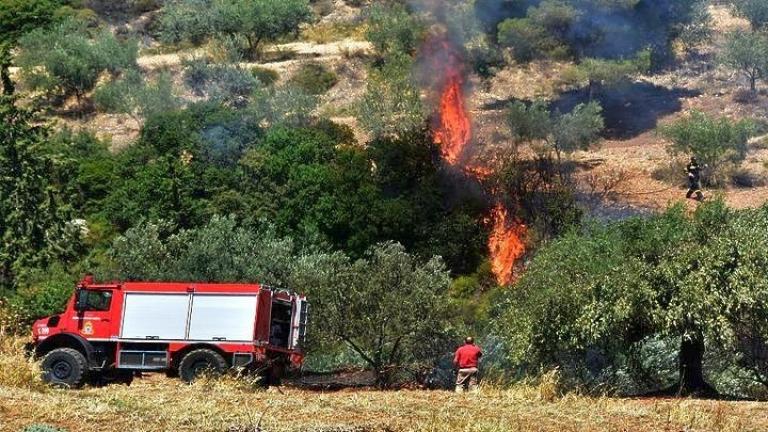 Σε πλήρη εξέλιξη βρίσκεται η επιχείρηση κατάσβεσης της πυρκαγιάς που εκδηλώθηκε σε δασική έκταση στην περιοχή του Παλατιανού Κιλκίς. Οι δυνάμεις της Πυροσβεστικής έχουν ενισχυθεί και στο σημείο, πλέον, επιχειρούν 33 πυροσβέστες με 15 υδροφόρα οχήματα, 2 πεζοπόρα τμήματα, 2 αεροπλάνα τύπου Καναντέρ, ενώ στην περιοχή αναμένονται και άλλα 2 πεζοπόρα τμήματα.  Από την πυρκαγιά δεν κινδυνεύουν κατοικημένες περιοχές.