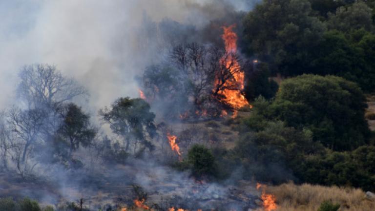 Λακωνία: Υπό μερικό έλεγχο η πυρκαγιά στην περιοχή Πικουλιάνικα