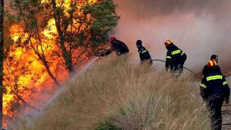 Έκτακτη είδηση: Πυρκαγιά τώρα στην περιοχή της αρχαίας Κορίνθου