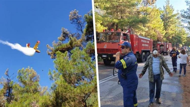 Θάσος: Υπό πλήρη έλεγχο η πυρκαγιά στο νησί