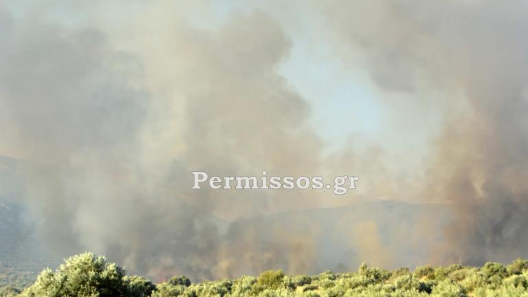 Η φωτιά στον Πρόδρομο Θηβών κατευθύνεται στον όρμο του Αγ. Ιωάννου στον Κορινθιακό