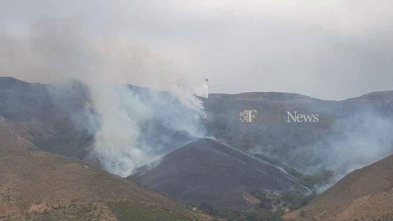 Υπό πλήρη έλεγχο η φωτιά στα Χανιά 