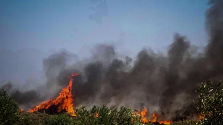 Πυρκαγιά τώρα στο Γύθειο Λακωνίας