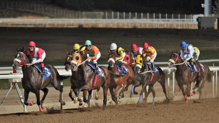 Markopoulo Park: Επικράτηση των φαβορί και πολλοί νικητές σε Σκορ 4 και Σκορ 6