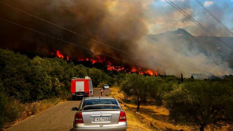 Φωτιά τώρα: Οριοθετήθηκε η φωτιά στην Φωκίδα