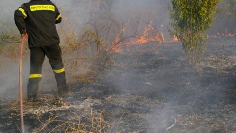 Φωτιά τώρα: Σε εξέλιξη πυρκαγιά στον Μαραθώνα