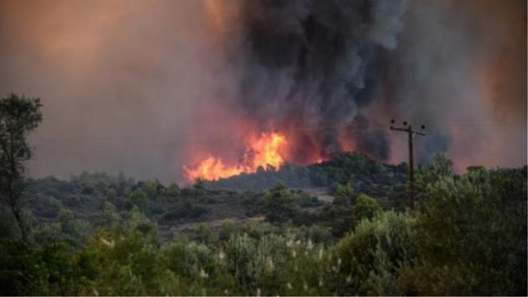 Φωτιά τώρα: Πυρκαγιά στα Μέγαρα Αττικής