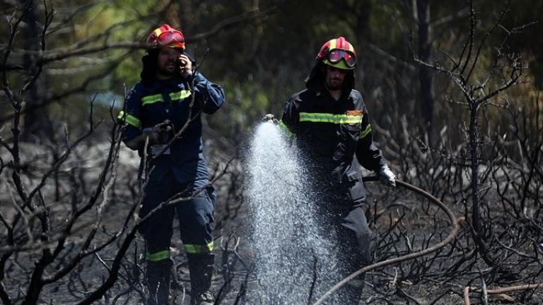 Φωτιά τώρα: Υπό μερικό έλεγχο η πυρκαγιά στη Μάνδρα Αττικής - Φωτιά στο Μαρκόπουλο