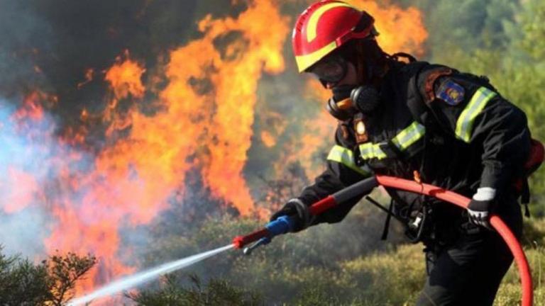 Φωτιά τώρα: Πυρκαγιά στο Πετρωτό Δομοκού