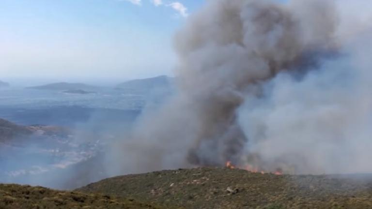 Φωτιά τώρα: Πυρκαγιά στην περιοχή Βατήσι της Καρύστου Ευβοίας