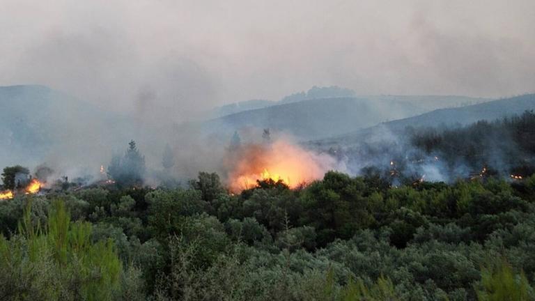Φωτιά τώρα:  Πυρκαγιά στο χωριό Αγαλάς της Ζακύνθου
