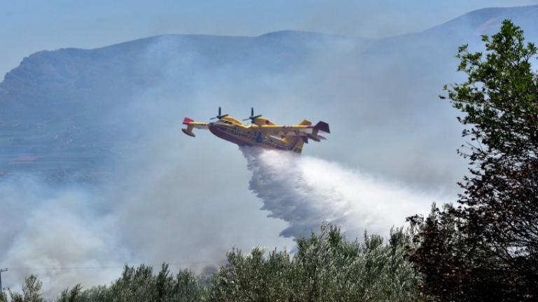 Φωτιά τώρα: Μάχη για την οριοθέτηση φωτιάς που μαίνεται σε δύσβατη περιοχή των Προμάχων