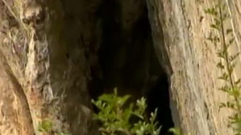 Σεισμολόγοι: Το ρήγμα της Πάρνηθας θα δώσει ισχυρούς σεισμούς (ΒΝΤΕΟ)