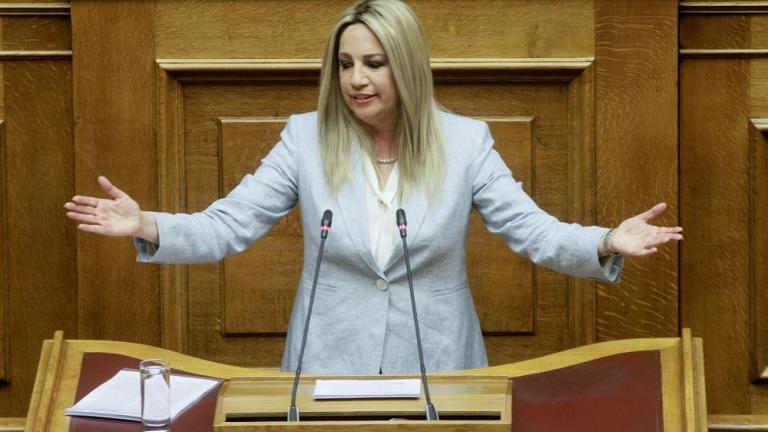 Η Γεννηματά διαγράφει πέντε μέλη που κατεβαίνουν με τον ΣΥΡΙΖΑ στις εκλογές του Οικονομικού Επιμελητηρίου