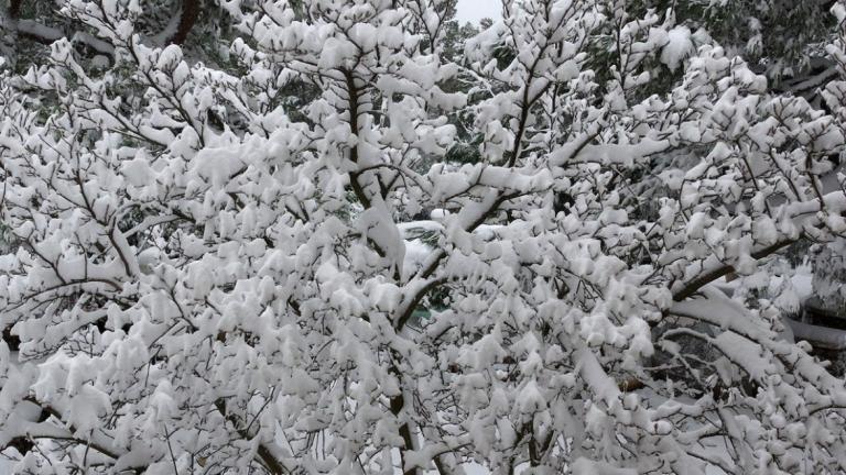 Βροχές και χιόνια την Τρίτη (03/12) 