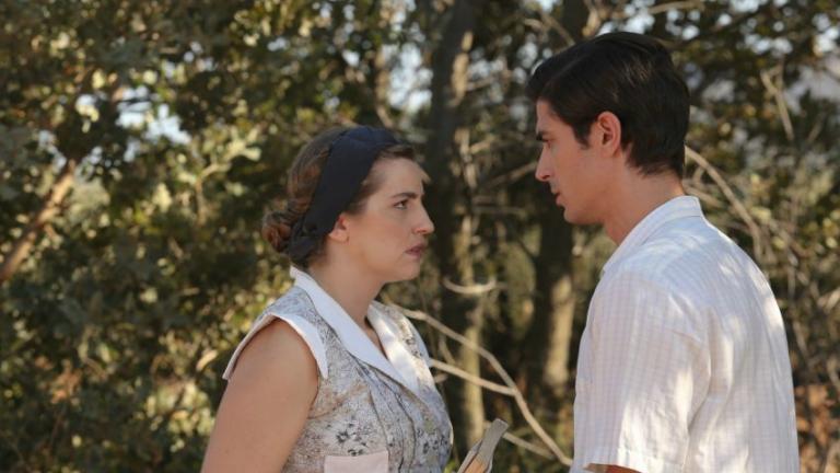 Άγριες μέλισσες: Ταξιδεύουν στο εξωτερικό  