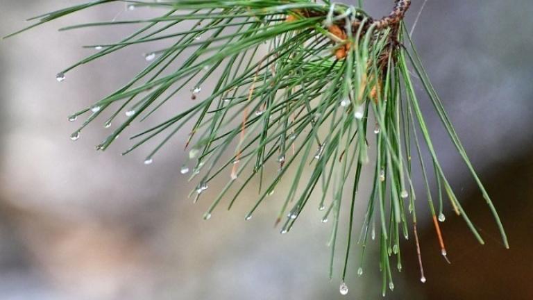 Τσουχτερό κρύο στη Βόρεια Ελλάδα - Χωρίς προβλήματα η κυκλοφορία στο οδικό δίκτυο