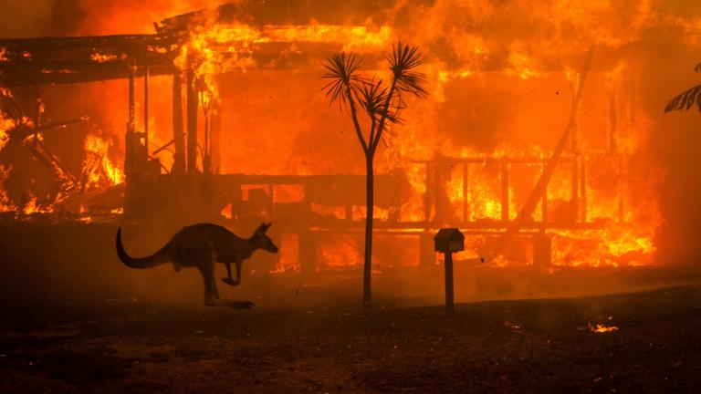Έκταση όσο η Ιρλανδία έκαψαν έως τώρα οι πυρκαγιές στην Αυστραλία!