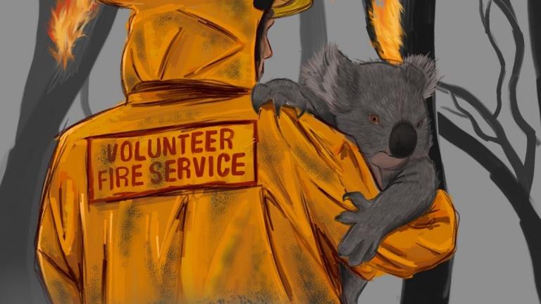 Αυστραλία: Οι πυρκαγιές, ένα "ολοκαύτωμα" για την πανίδα, προειδοποιούν οι ειδικοί