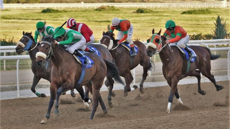 O ΠΑΡΤΥ ΤΑΪΓΚΕΡ νικητής του 1ου Μarkopoulo Park Handicap