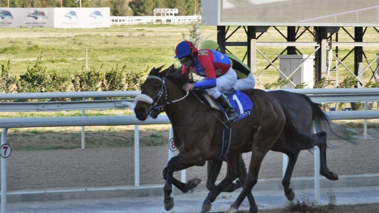 Μεγάλος αριθμός νικητών στο ιπποδρομιακό στοίχημα κι αυτή την Κυριακή