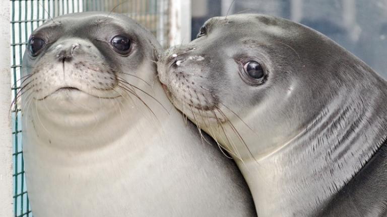 Η Λένα και η Νικόλ στα νερά των Κυκλάδων!