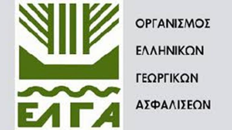 ΕΛΓΑ: Αύριο η πληρωμή 21,6 εκατ. ευρώ σε 14.600 δικαιούχους