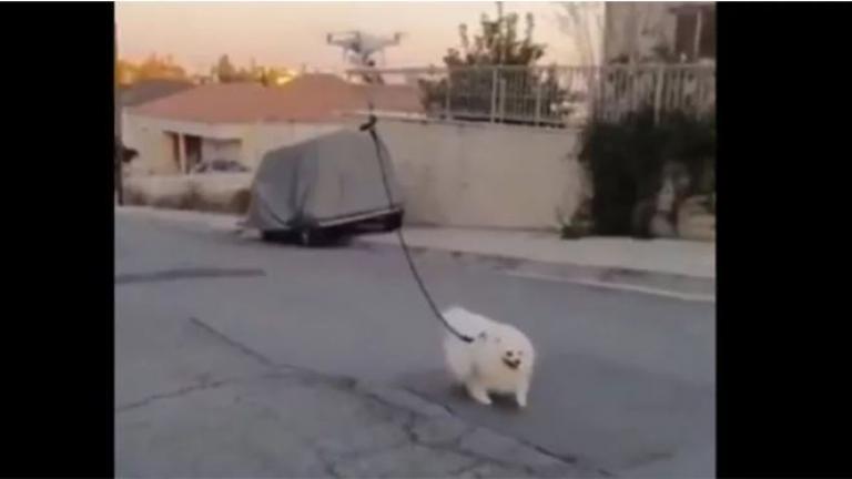 Covid-19 - Ισραήλ: Έβγαλε το σκύλο βόλτα με Drone
