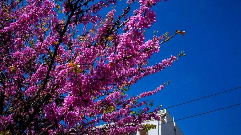 Πώς θα είναι ο καιρός την Κυριακή του Πάσχα 