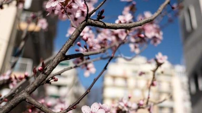 Καιρός (11/4): Ανοιξιάτικος ο καιρός - Νέα άνοδος της θερμοκρασίας (ΒΙΝΤΕΟ)