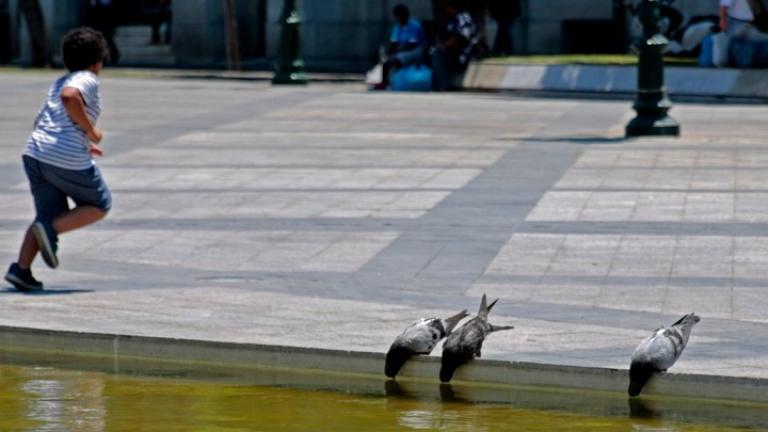 Μικρή υποχώρηση του κύματος ζέστης σήμερα - Ερχεται κακοκαιρία την Πέμπτη (ΒΙΝΤΕΟ)