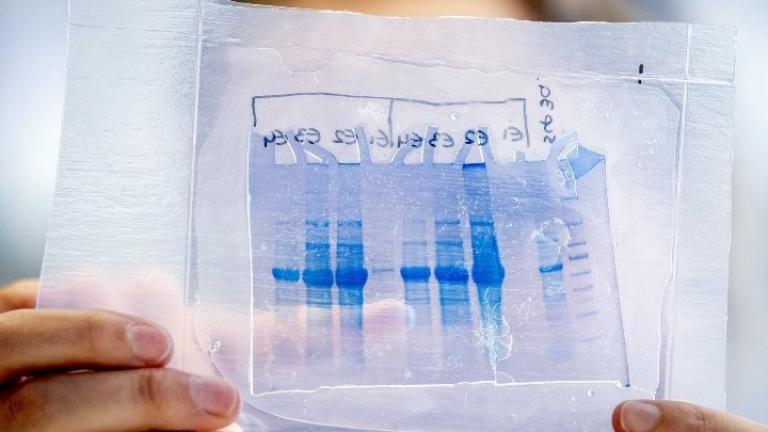 Ένα αντιφλεγμονώδες και ένα αντικαρκινικό φάρμακο δοκιμάζονται ως πιθανά φάρμακα για τη θεραπεία της COVID-19