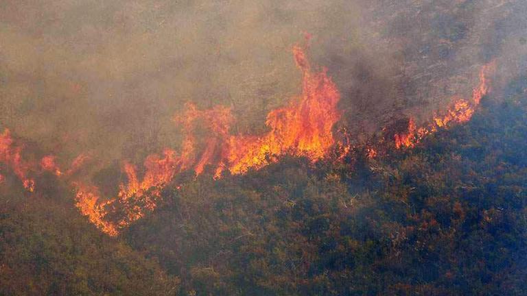 Συνεχίζονται οι προσπάθειες για να περιοριστεί η πυρκαγιά στο Άγιον Όρος 