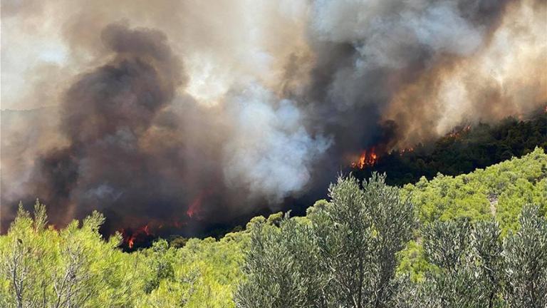 Πυρκαγιά στο Λαύριο (ΦΩΤΟ)