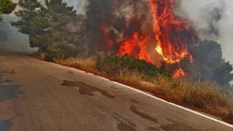 Πυρκαγιά στο Κόρθι της Άνδρου