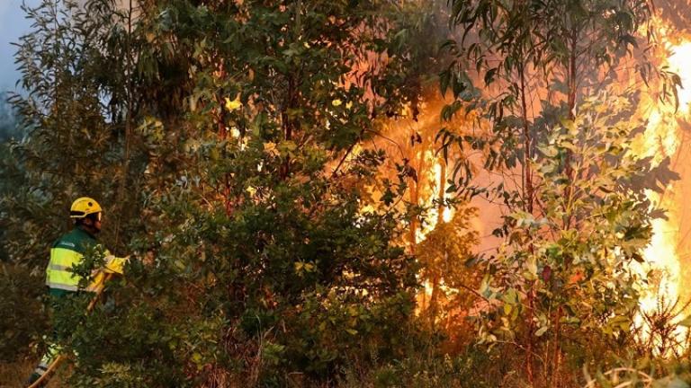 Εκατοντάδες πυροσβέστες στη μάχη για την κατάσβεση μεγάλης πυρκαγιάς στην Πορτογαλία
