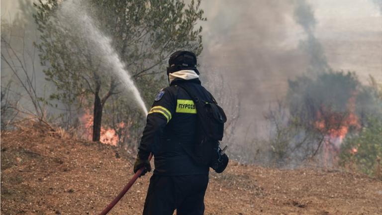 Βελτιώνεται η εικόνα των πυρκαγιών σε Γραμματικό και Κεχριές